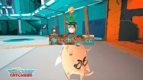 Super-Chicken-Catchers-2.png