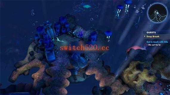 2dce454e-9682-4fcc-b7ed-2b635d0b0f46.jpg