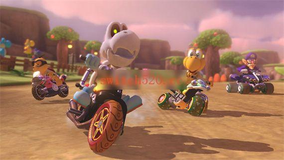 3_mk8_gameplay_3.jpg