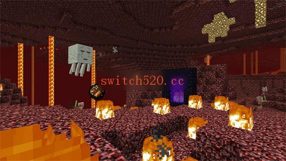3_screenshot_nether.jpg