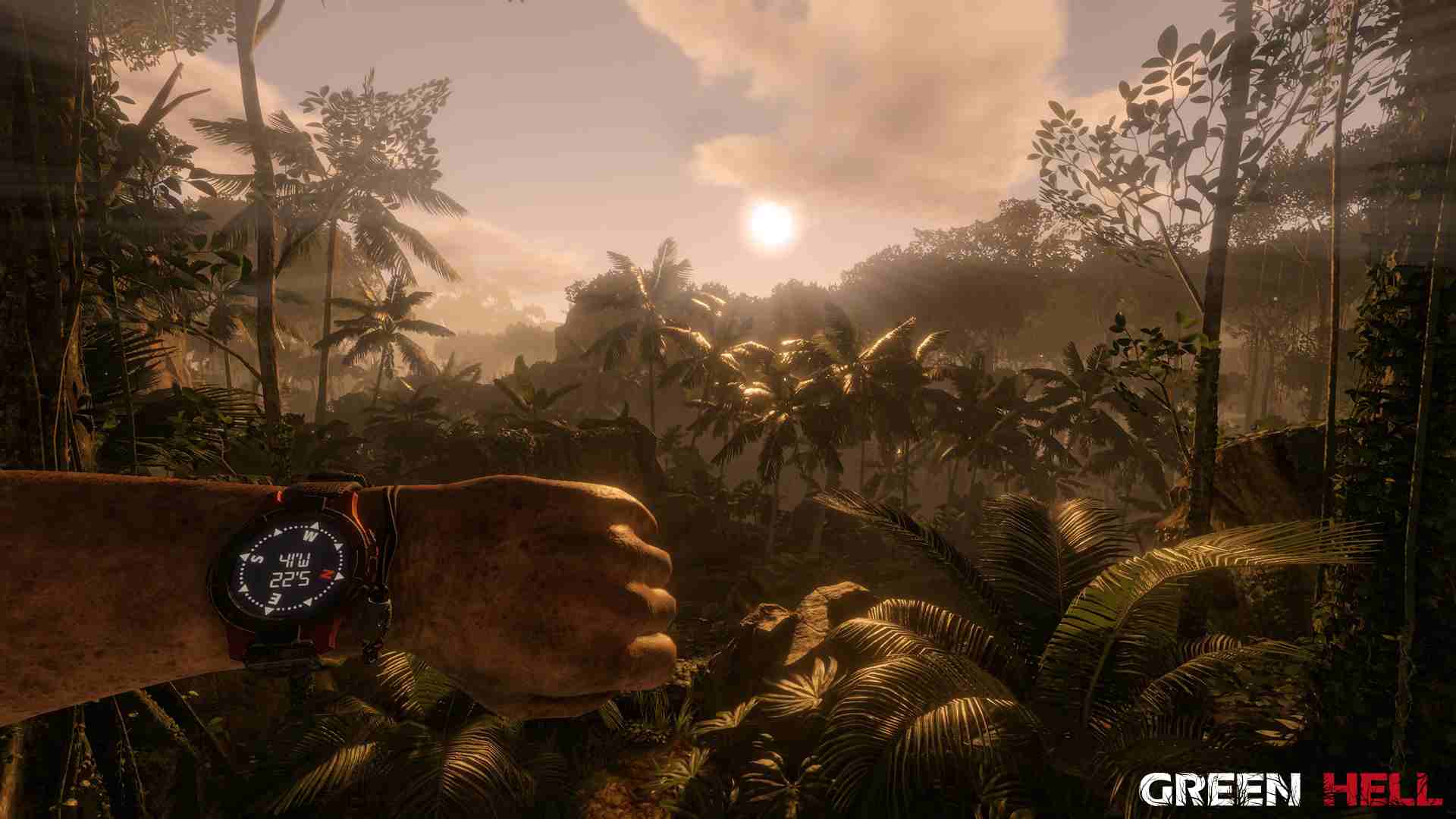 PC《绿色地狱(Green Hell)》免安装绿色中文版 下载_1