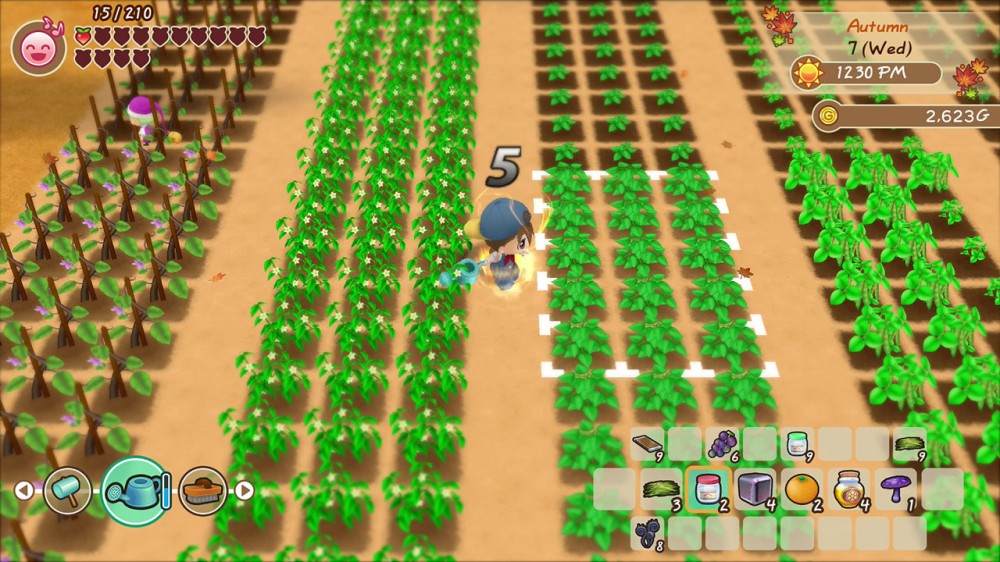 PC《牧场物语:重聚矿石镇 STORY OF SEASONS Friends of Mineral Town》免安装中文版下载（v1.04）_0