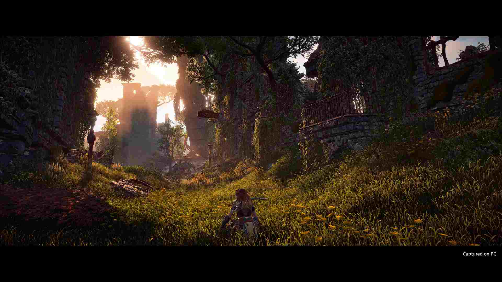 PC《地平线：黎明时分 Horizon Zero Dawn 》PC免安装中文版下载（v1.10）_1