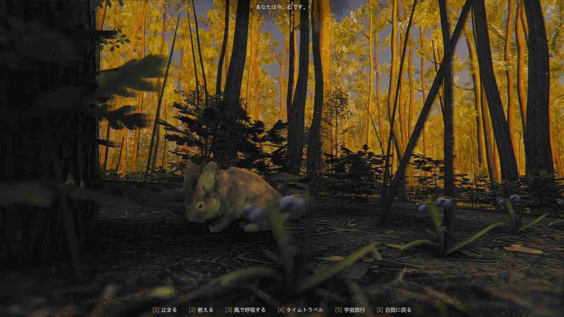 PC《正念模拟器：ASMR冥想游戏 Mindfulness Simulator - ASMR Meditation Game》中文版下载_0