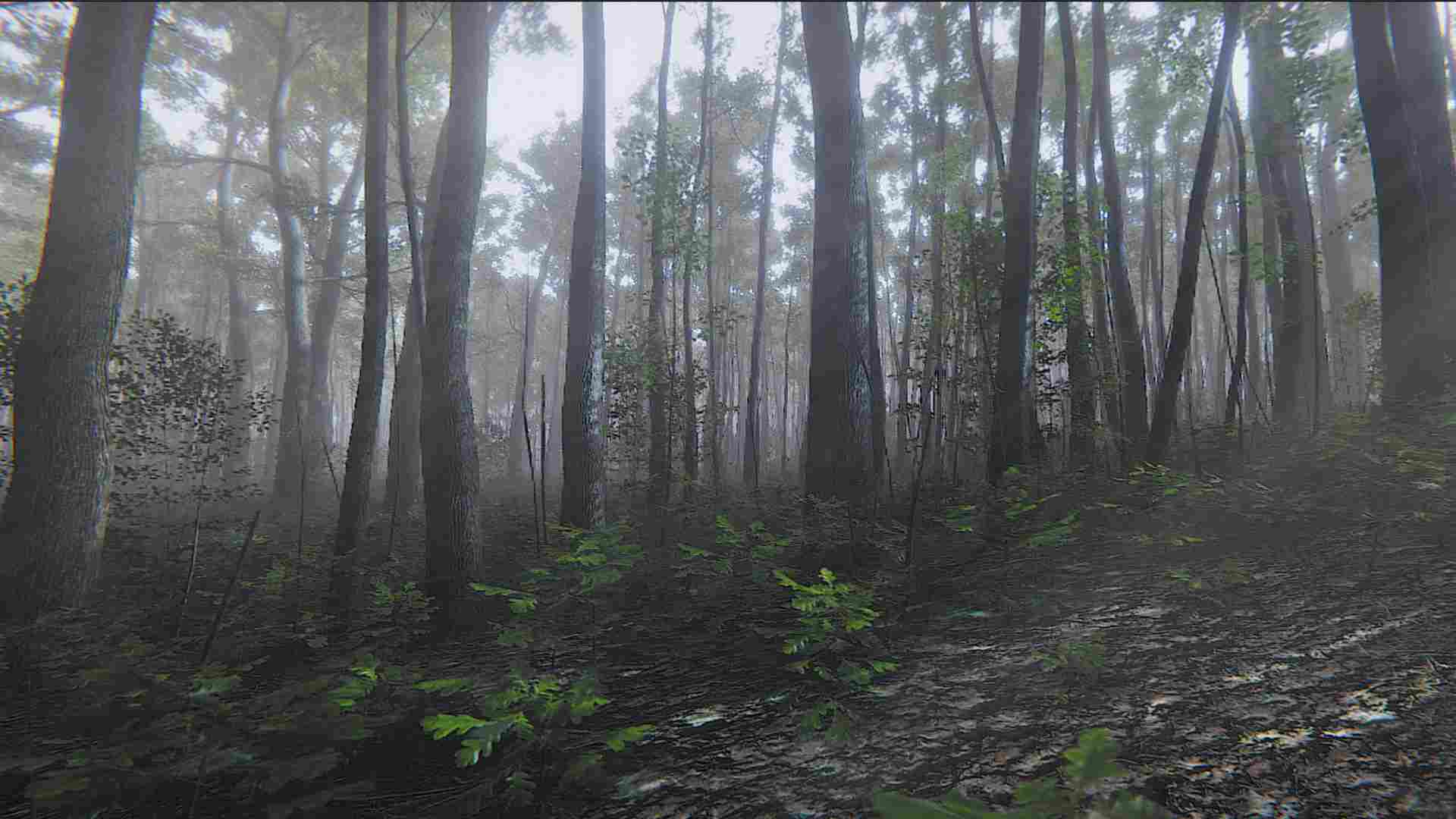 PC《正念模拟器：ASMR冥想游戏 Mindfulness Simulator - ASMR Meditation Game》中文版下载_1