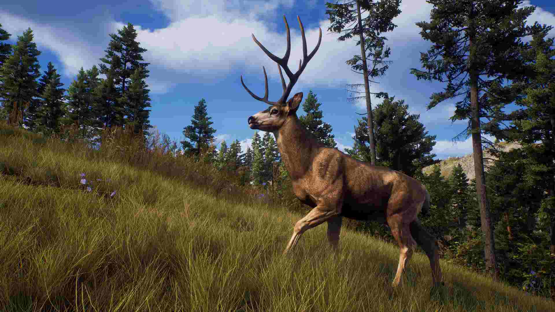 PC《狩猎之道 Way of the Hunter》中文版下载_1