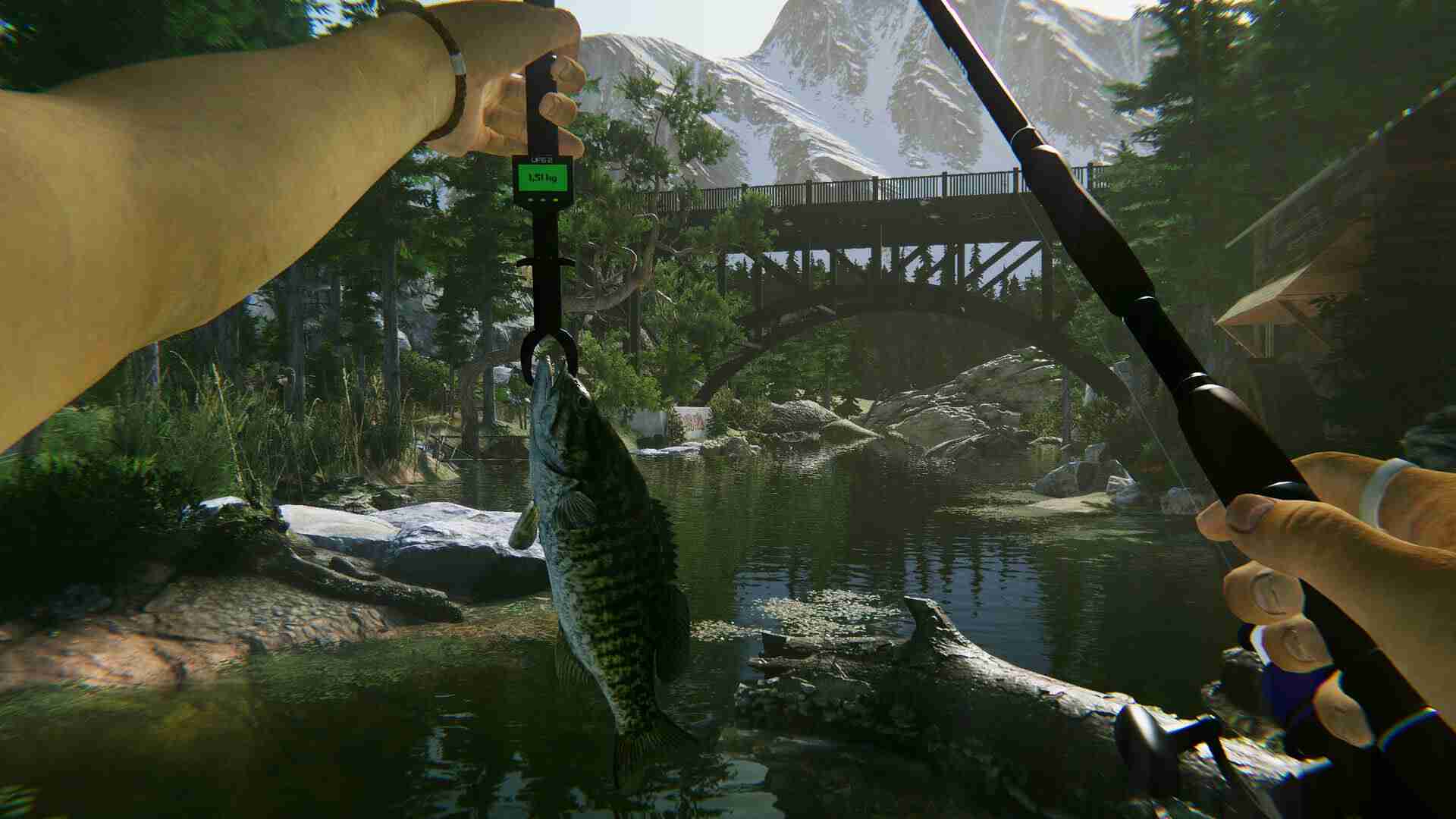 PC《终极钓鱼模拟器2 Ultimate Fishing Simulator 2》中文版下载_1