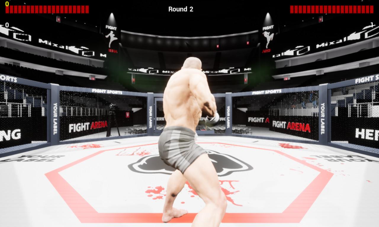 PC《MMA锦标赛 MMA Championship》英文版下载_1