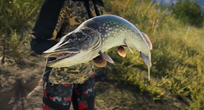 PC《荒野的召唤：垂钓者 Call of the Wild The Angler》中文版下载_1
