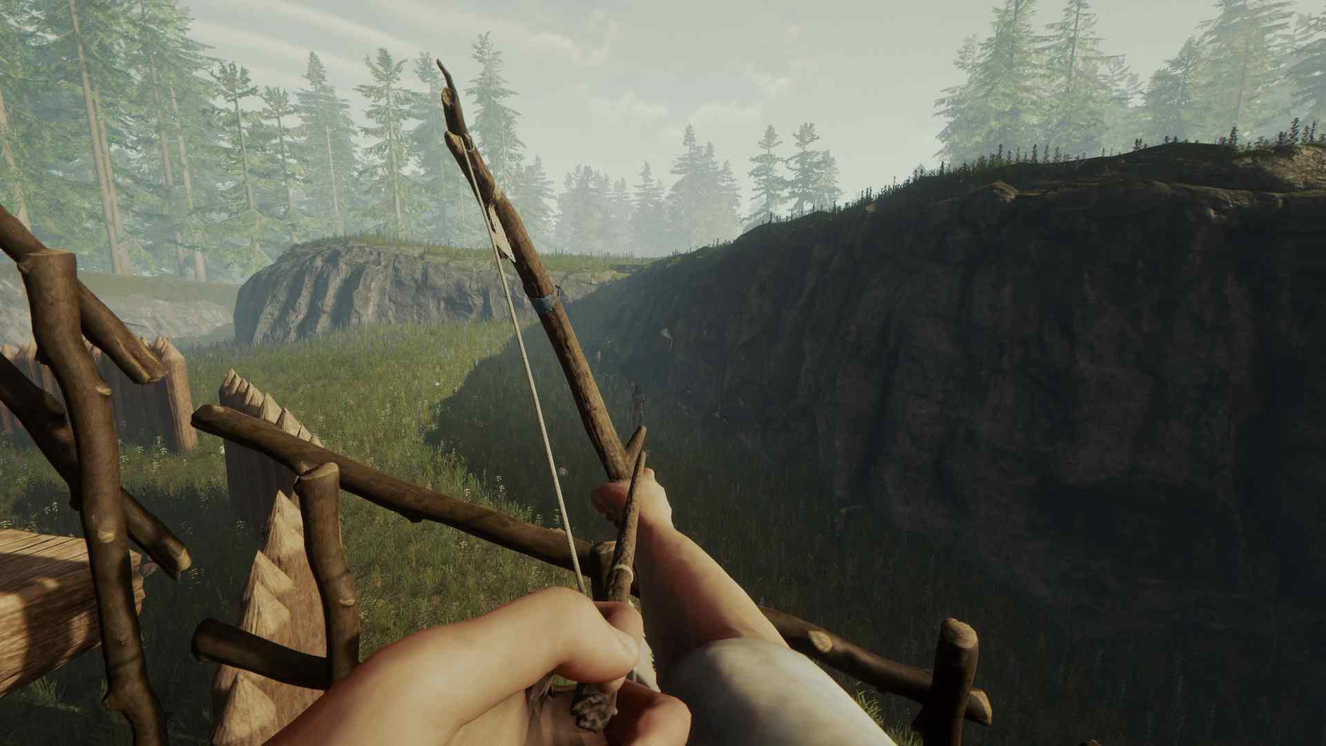PC《森林 Forest》英文版下载_0