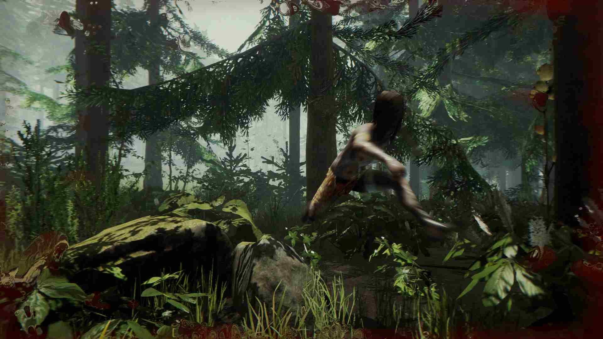 PC《森林 Forest》英文版下载_1