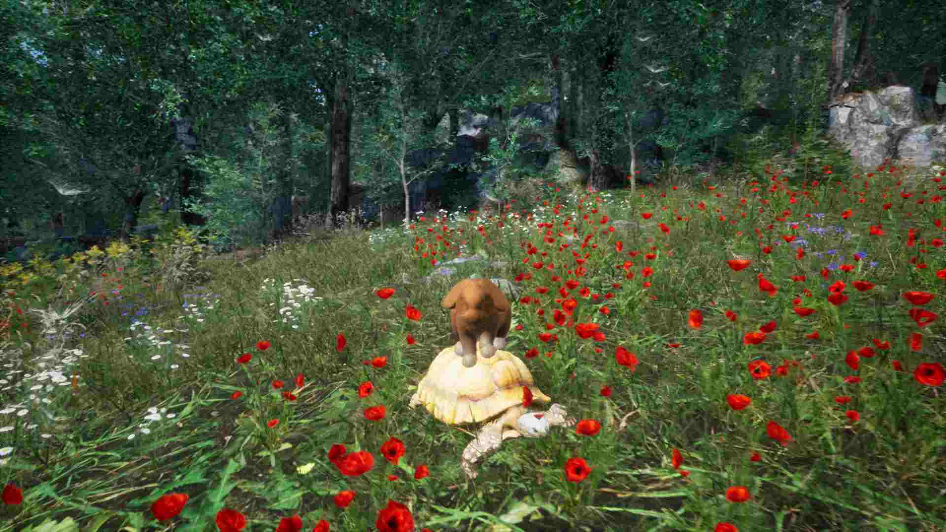 PC《兔子草场 Rabbit Meadow》英文版下载_0
