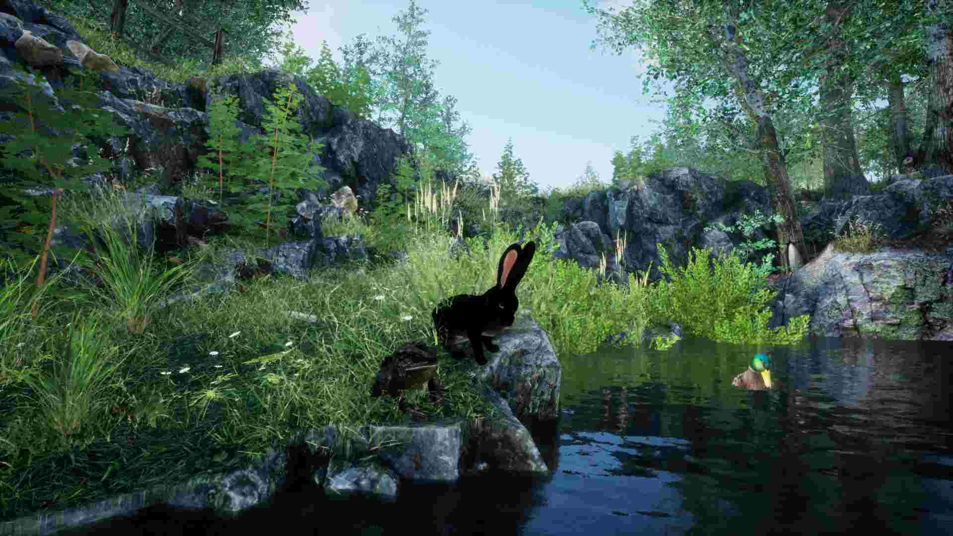PC《兔子草场 Rabbit Meadow》英文版下载_1
