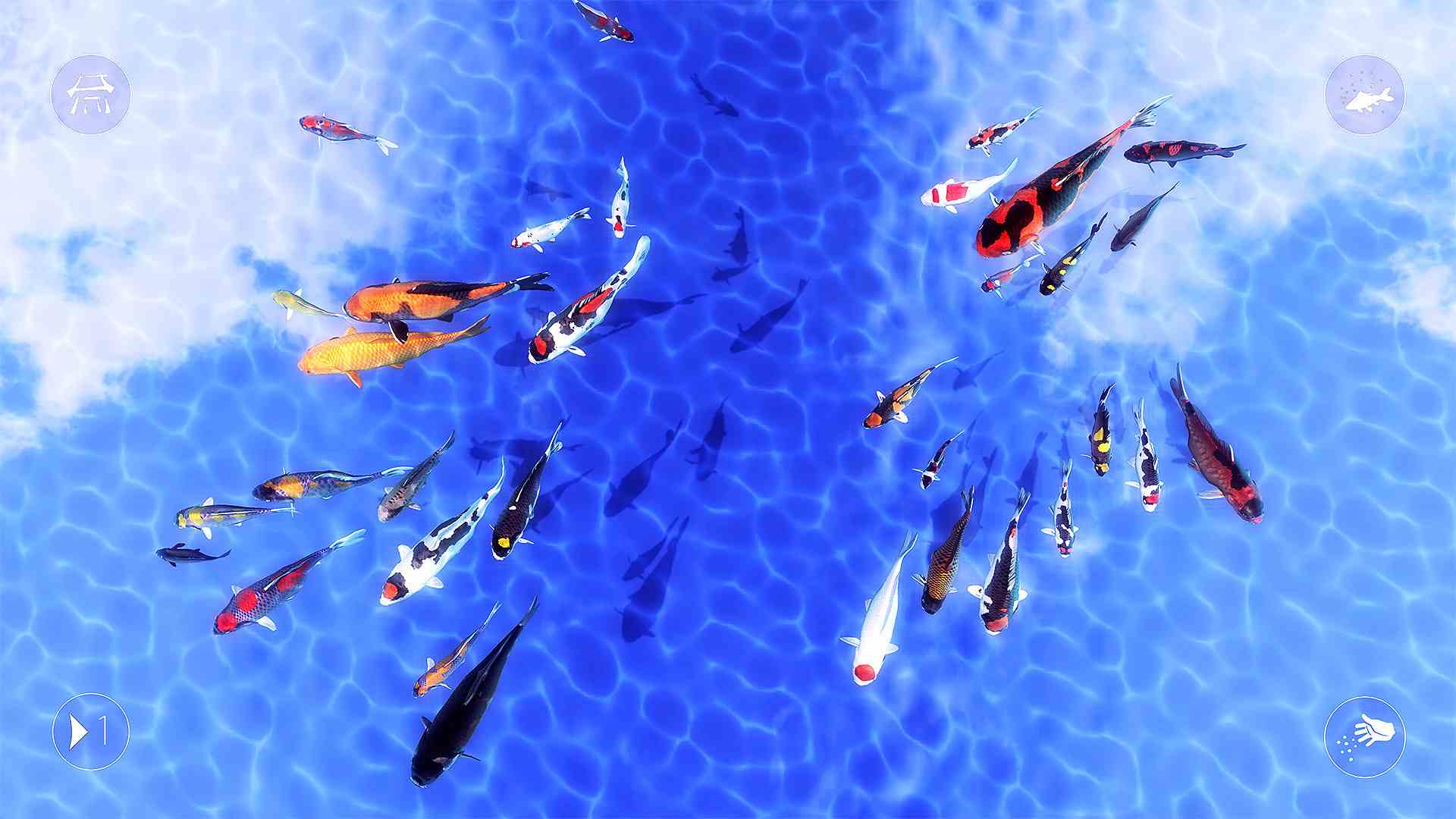 PC《我的锦鲤 My Koi》免安装中文版下载_0