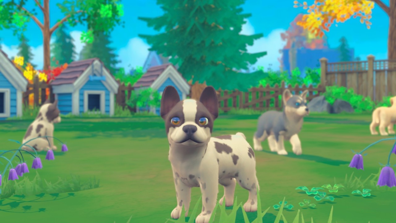 PC《我的领域：小狗和小猫 My Universe - Puppies & Kittens》中文版下载_1