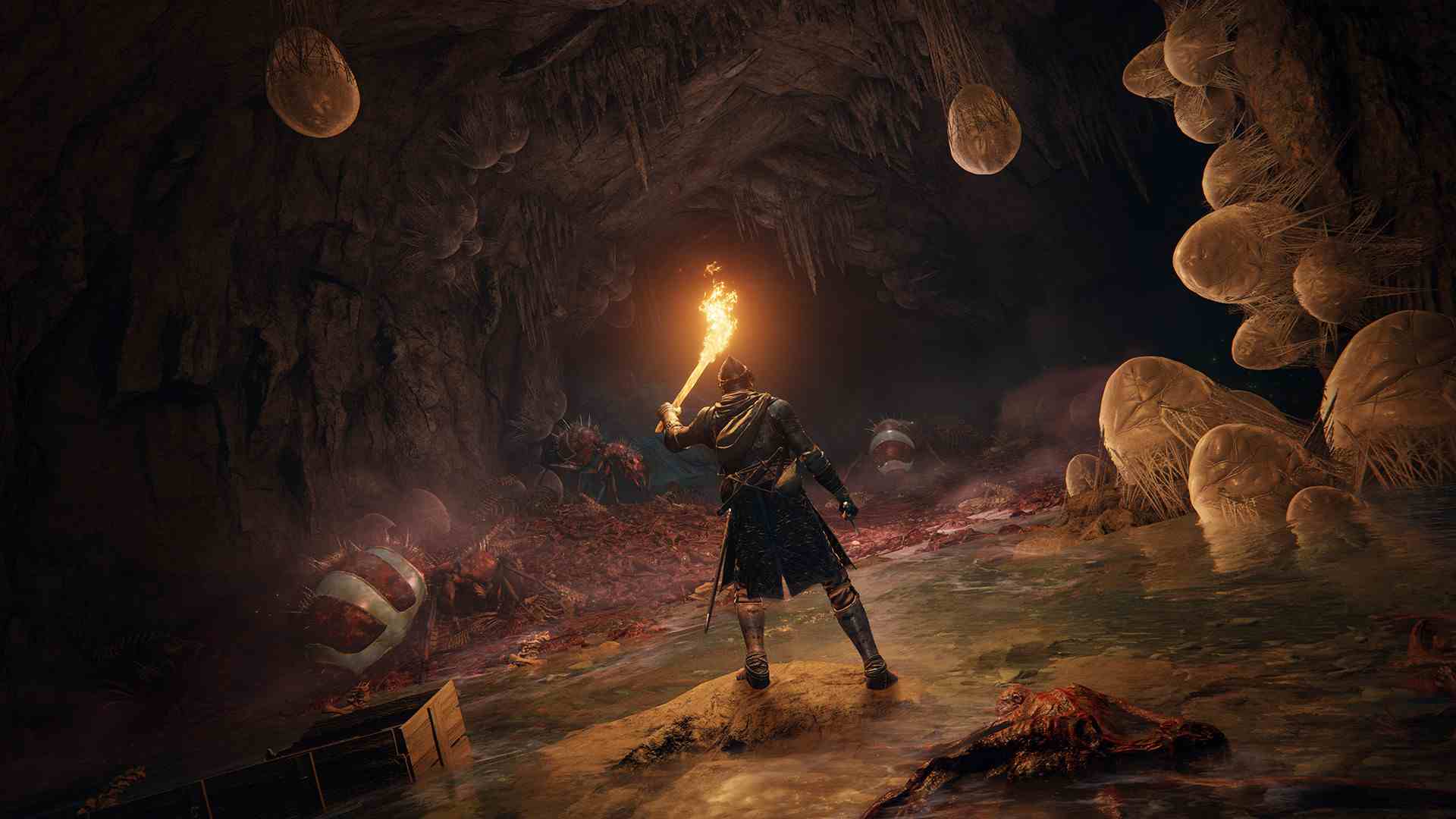 PC《艾尔登法环 Elden Ring》免安装学习版中文版下载（v1.06）_0