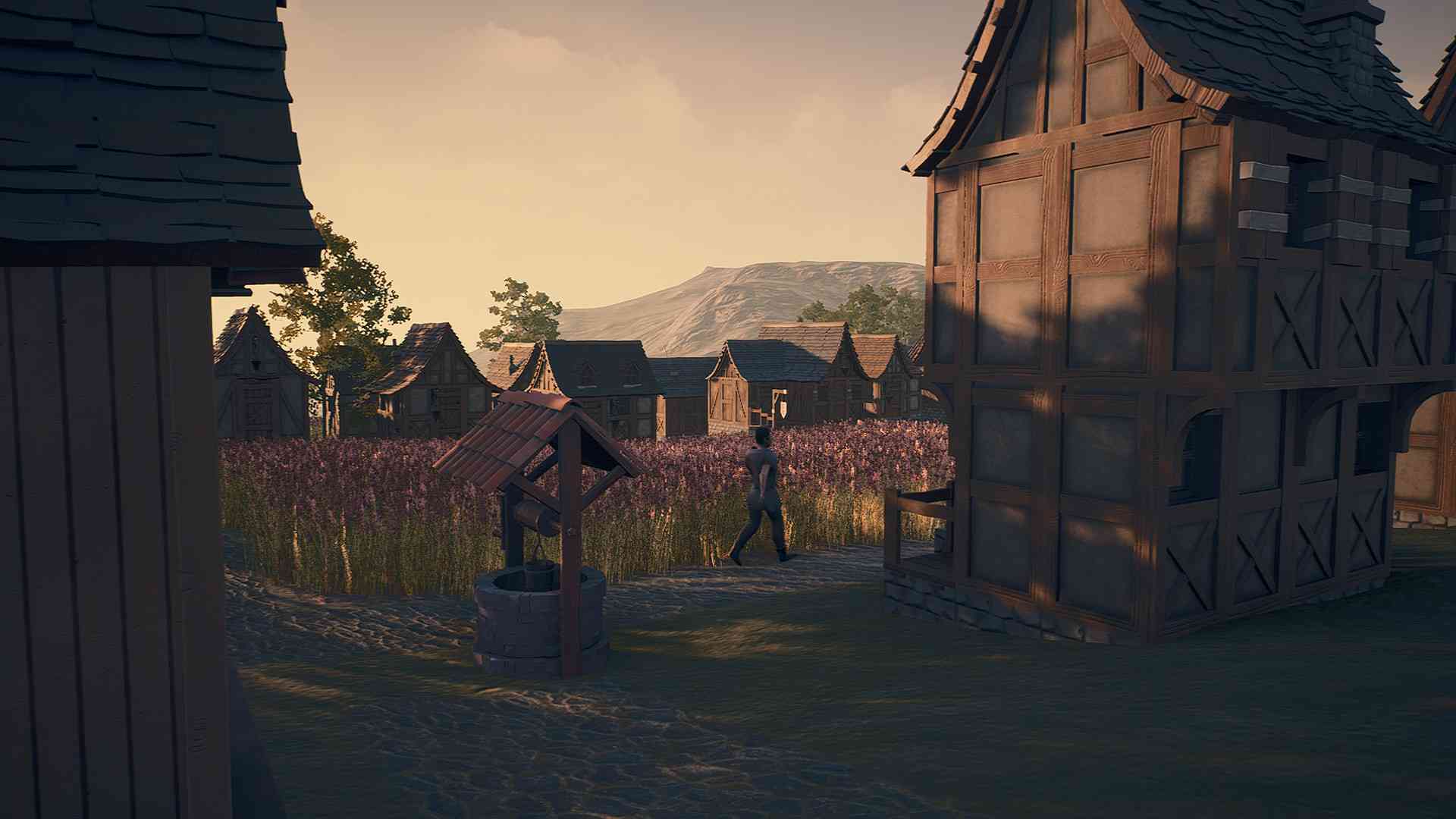 PC《新家园：中世纪村庄 New Home: Medieval Village》中文版下载（v0.43.3）_0