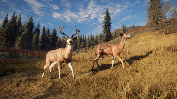 PC《猎人：野性的呼唤 theHunter: Call of the Wild》免安装中文版下载（ 集成DLCs）_0