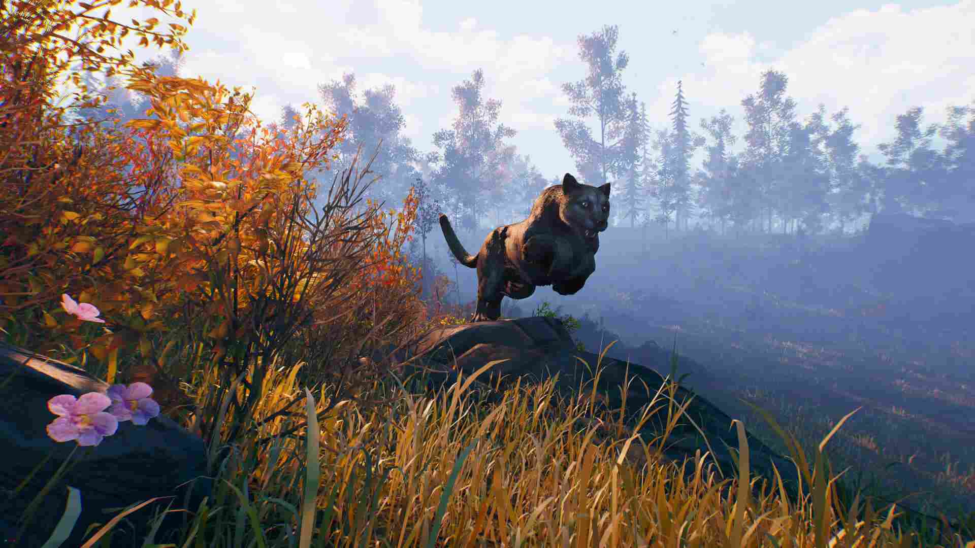 PC《辽阔旷野 Open Country》免安装中文版下载_1