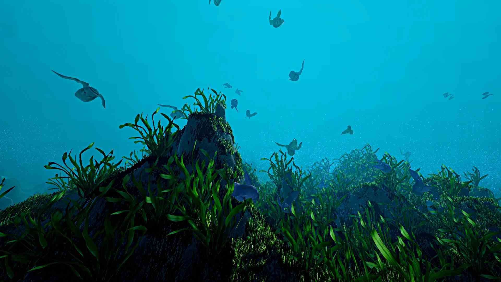 PC《生态系统 Ecosystem》英文版下载_0