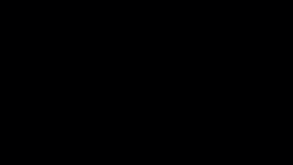 9995812_0